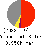 WELLNET CORPORATION Profit and Loss Account 2022年Jun期 WELLNET CORPORATION Profit and Loss Account 2022年6月期