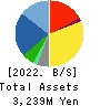 Care Service Co.,Ltd. Balance Sheet 2022年Mar期 Care Service Co.,Ltd. Balance Sheet 2022年3月期