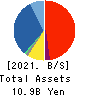 HOPE,INC. Balance Sheet 2021年Jun期 HOPE,INC. Balance Sheet 2021年6月期