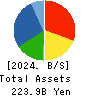 Japan Display Inc. Balance Sheet 2024年Mar期 Japan Display Inc. Balance Sheet 2024年3月期