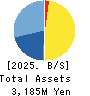 RIBOMIC Inc. Balance Sheet 2025年3月期