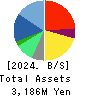 Koukandekirukun, Inc. Balance Sheet 2024年3月期