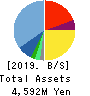 BuySell Technologies Co.,Ltd. Balance Sheet 2019年Dec期 BuySell Technologies Co.,Ltd. Balance Sheet 2019年12月期