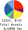 NJ Holdings Inc. Balance Sheet 2022年6月期