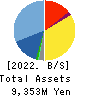 ANYCOLOR Inc. Balance Sheet 2022年Apr期 ANYCOLOR Inc. Balance Sheet 2022年4月期