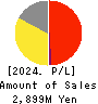 ZUU Co.,Ltd. Profit and Loss Account 2024年3月期