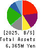 VIA Holdings,Inc. Balance Sheet 2025年Mar期 VIA Holdings,Inc. Balance Sheet 2025年3月期