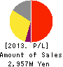 Dai-sho-kin Profit and Loss Account 2013年3月期