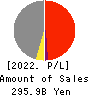 Japan Display Inc. Profit and Loss Account 2022年3月期
