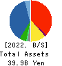 OLBA HEALTHCARE HOLDINGS, Inc. Balance Sheet 2022年Jun期 OLBA HEALTHCARE HOLDINGS, Inc. Balance Sheet 2022年6月期
