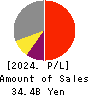 Loadstar Capital K.K. Profit and Loss Account 2024年Dec期 Loadstar Capital K.K. Profit and Loss Account 2024年12月期