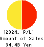 Loadstar Capital K.K. Profit and Loss Account 2024年Dec期 Loadstar Capital K.K. Profit and Loss Account 2024年12月期