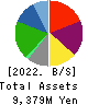 VIA Holdings,Inc. Balance Sheet 2022年3月期