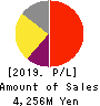 Advanced Media,Inc. Profit and Loss Account 2019年Mar期 Advanced Media,Inc. Profit and Loss Account 2019年3月期