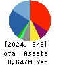 YAMANO HOLDINGS CORPORATION Balance Sheet 2024年Mar期 YAMANO HOLDINGS CORPORATION Balance Sheet 2024年3月期