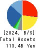 HAPPINET CORPORATION Balance Sheet 2024年3月期
