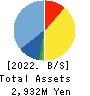 Ricksoft Co.,Ltd. Balance Sheet 2022年Feb期 Ricksoft Co.,Ltd. Balance Sheet 2022年2月期