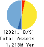 TMS Co.,Ltd. Balance Sheet 2021年2月期