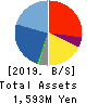 Basis Corporation Balance Sheet 2019年6月期