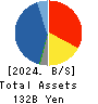 KNT-CT Holdings Co.,Ltd. Balance Sheet 2024年3月期