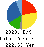 Japan Display Inc. Balance Sheet 2023年Mar期 Japan Display Inc. Balance Sheet 2023年3月期