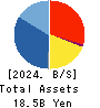 SHINDEN HIGHTEX CORPORATION Balance Sheet 2024年3月期