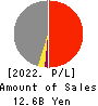 RINKO CORPORATION Profit and Loss Account 2022年3月期