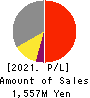 HOSOYA PYRO-ENGINEERING CO.,LTD. Profit and Loss Account 2021年3月期