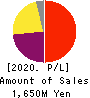 Temairazu, Inc. Profit and Loss Account 2020年6月期