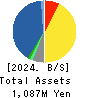 Vector HOLDINGS Inc. Balance Sheet 2024年Mar期 Vector HOLDINGS Inc. Balance Sheet 2024年3月期