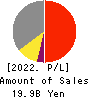 B-Lot Company Limited Profit and Loss Account 2022年12月期