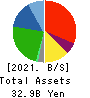 SANIX INCORPORATED Balance Sheet 2021年3月期