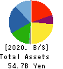 RORZE CORPORATION Balance Sheet 2020年2月期