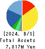 Management Solutions Co.,Ltd. Balance Sheet 2024年Dec期 Management Solutions Co.,Ltd. Balance Sheet 2024年12月期