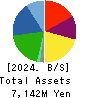 DM Solutions Co.,Ltd Balance Sheet 2024年Mar期 DM Solutions Co.,Ltd Balance Sheet 2024年3月期