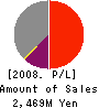 ASTMAX Co.,Ltd. Profit and Loss Account 2008年3月期