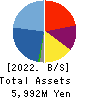 Bleach,Inc. Balance Sheet 2022年Jun期 Bleach,Inc. Balance Sheet 2022年6月期