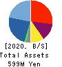 GRCS Inc. Balance Sheet 2020年Nov期 GRCS Inc. Balance Sheet 2020年11月期