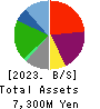 VIA Holdings,Inc. Balance Sheet 2023年3月期