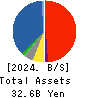 GFOOT CO.,LTD. Balance Sheet 2024年Feb期 GFOOT CO.,LTD. Balance Sheet 2024年2月期