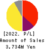 ENECHANGE Ltd. Profit and Loss Account 2022年Dec期 ENECHANGE Ltd. Profit and Loss Account 2022年12月期