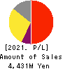Advanced Media,Inc. Profit and Loss Account 2021年Mar期 Advanced Media,Inc. Profit and Loss Account 2021年3月期