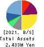 Eltes Co.,Ltd. Balance Sheet 2021年2月期