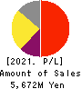 AUTOSERVER CO.,LTD. Profit and Loss Account 2021年12月期