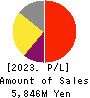 AUTOSERVER CO.,LTD. Profit and Loss Account 2023年12月期