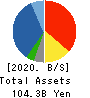 Central Forest Group, Inc. Balance Sheet 2020年12月期