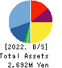 FLECT Co.,Ltd. Balance Sheet 2022年Mar期 FLECT Co.,Ltd. Balance Sheet 2022年3月期