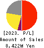 KING Co.,Ltd. Profit and Loss Account 2023年3月期