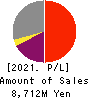 Scala,Inc. Profit and Loss Account 2021年6月期