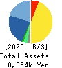 SRE Holdings Corporation Balance Sheet 2020年3月期
